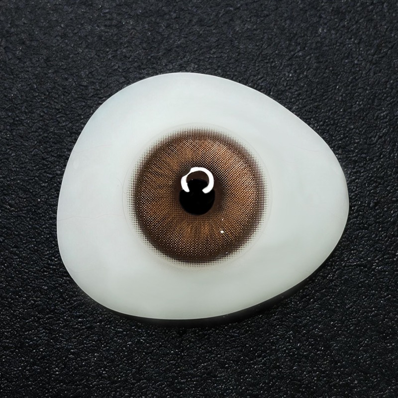 Walnut Coffee 6 Months Contact Lenses | 2 Pcs