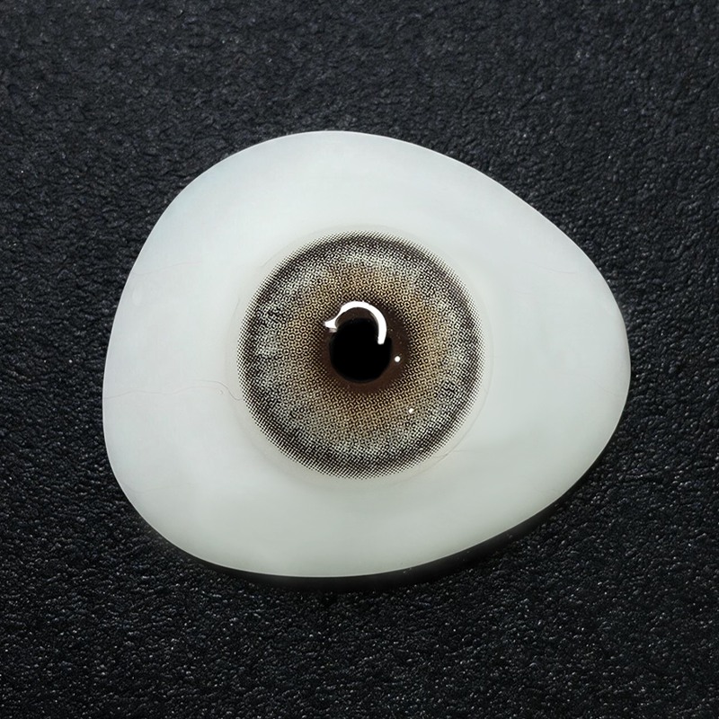 Pewter Silk Grey 6 Months Contact Lenses | 2 Pcs