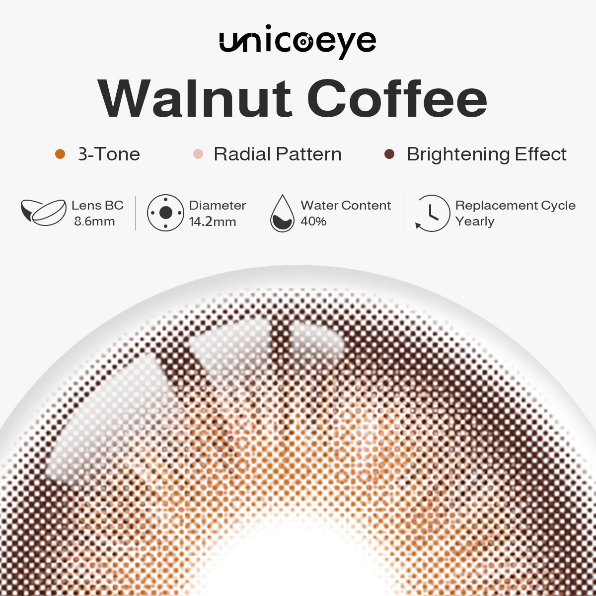 Walnut Coffee Yearly Contact Lenses | 2 Pcs