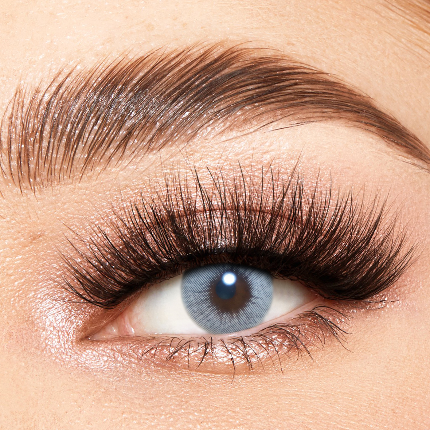 Whale A.Claro Daily Contact Lenses | 10 Pcs