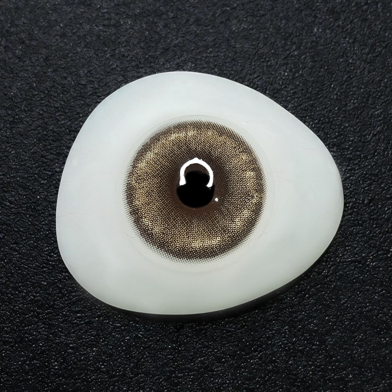 Amber Silk Light Brown 6 Months Contact Lenses | 2 Pcs