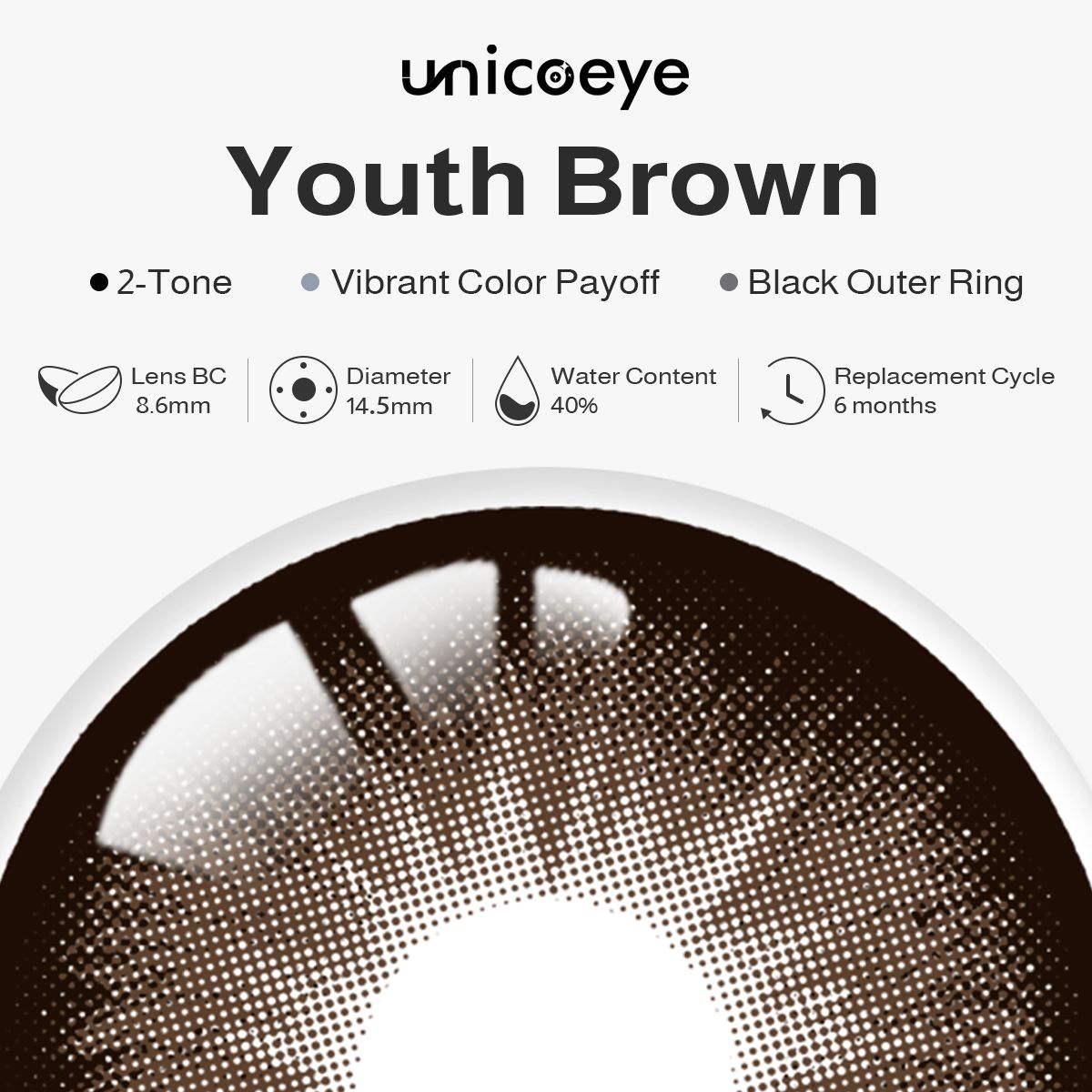 Youth Brown 6 Month Contact Lenses | 2 Pcs