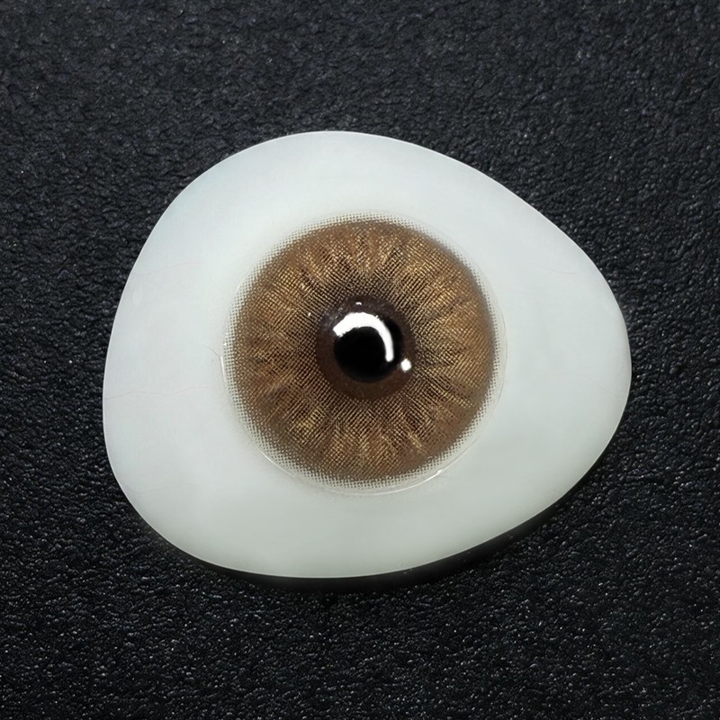 Dune Whisper Brown 6 Month Contact Lenses | 2 Pcs