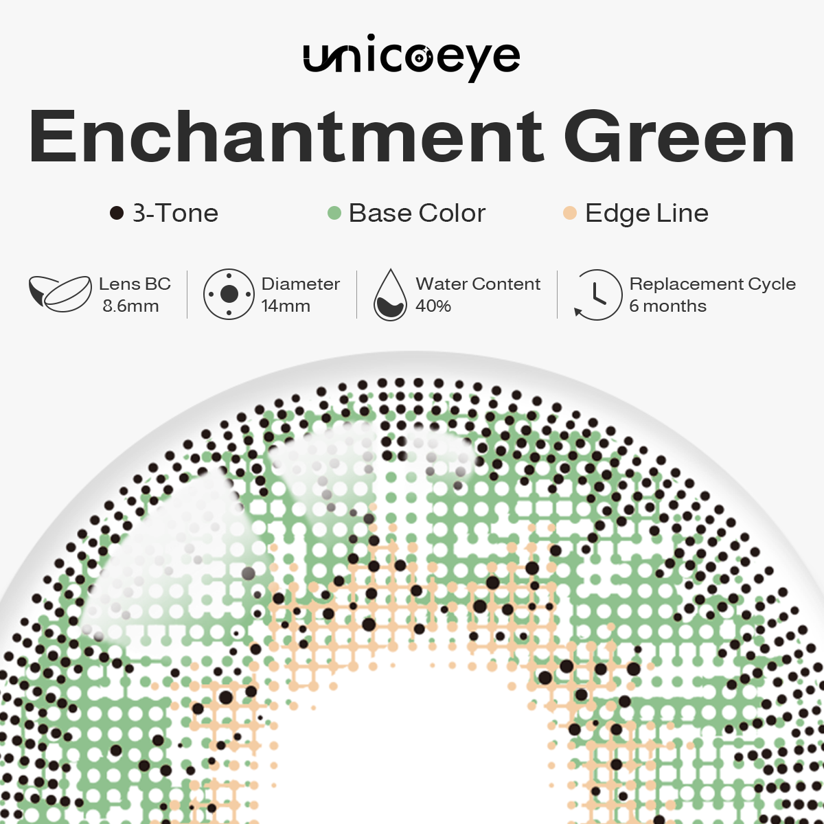 Garden Enchantment Green 6 Months Contact Lenses | 2 Pcs