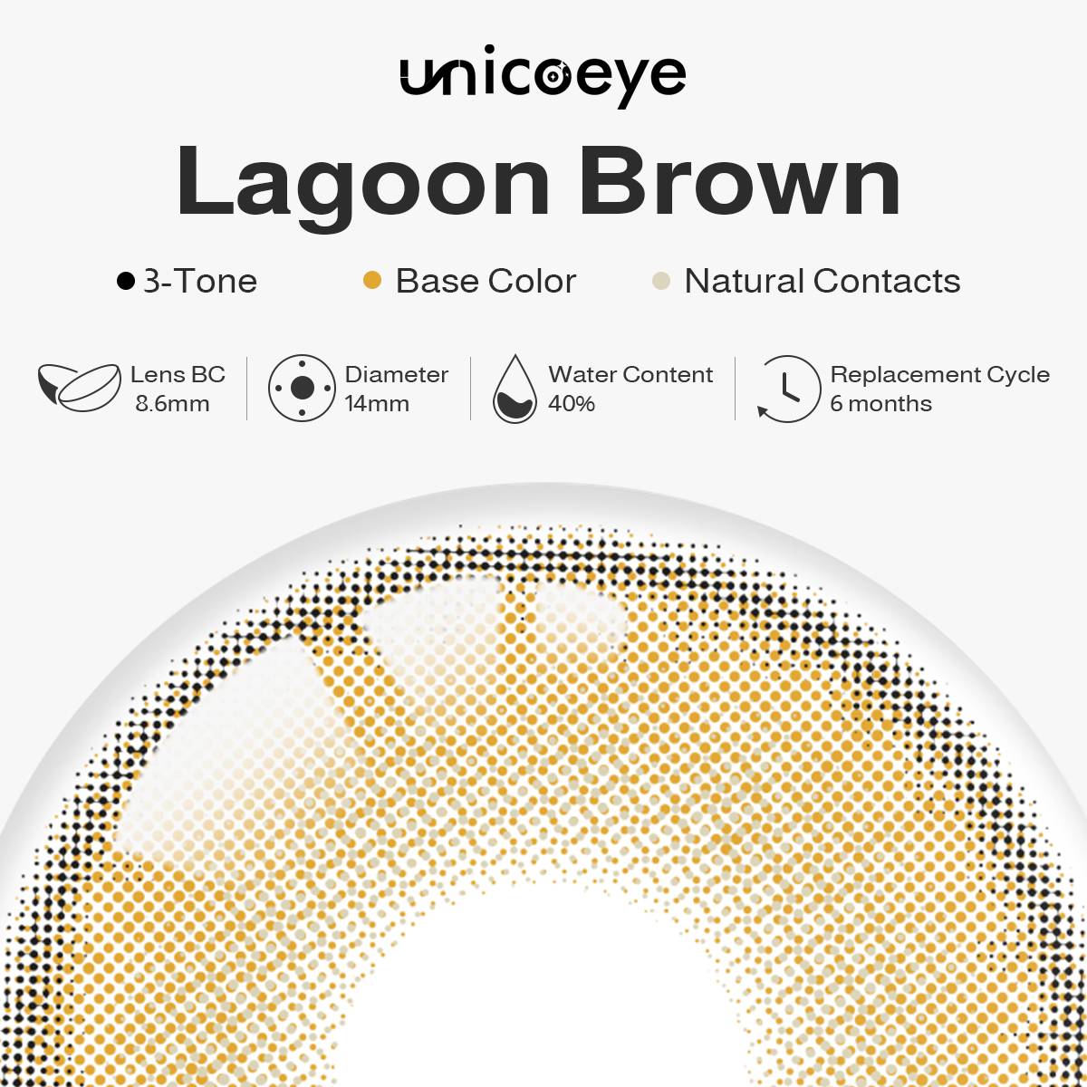 Serene Lagoon Brown 6 Month Contact Lenses | 2 Pcs