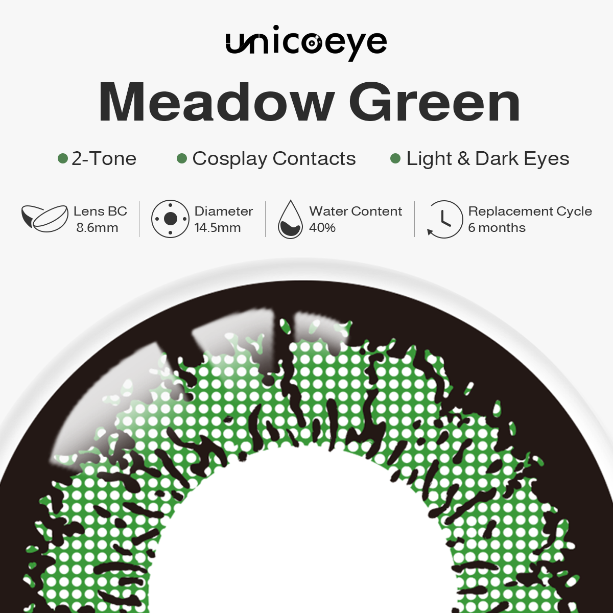 Meadow Green 6 Months Contact Lenses | 2 Pcs