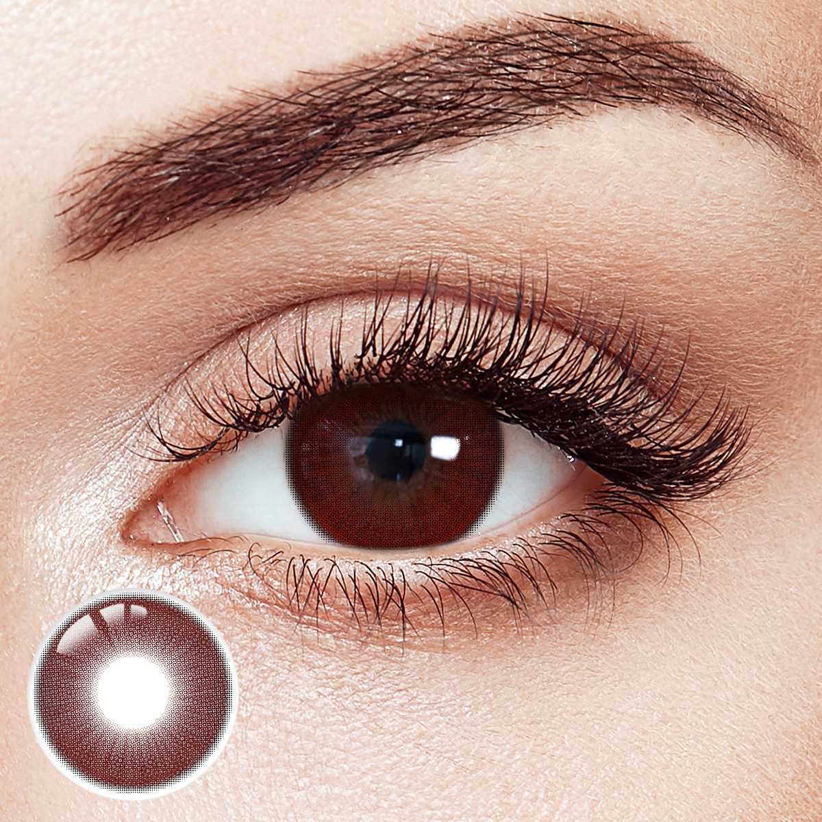 Clover Mist Red 6 Months Contact Lenses | 2 Pcs