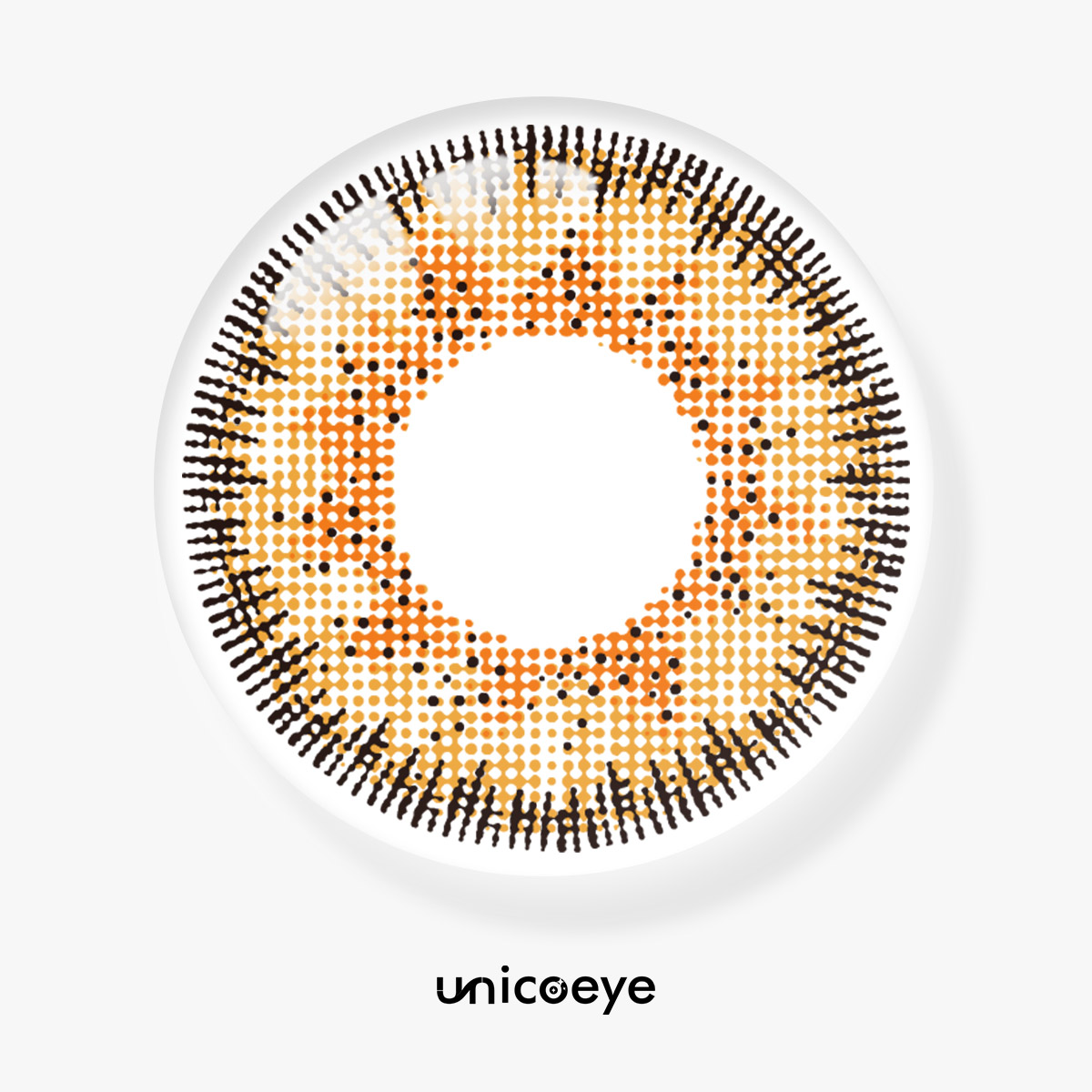 Ridge Brown 6 Months Contact Lenses | 2 Pcs