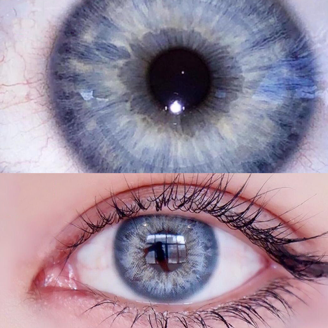 DNA Taylor Blue Daily Contact Lenses | 10 Pcs
