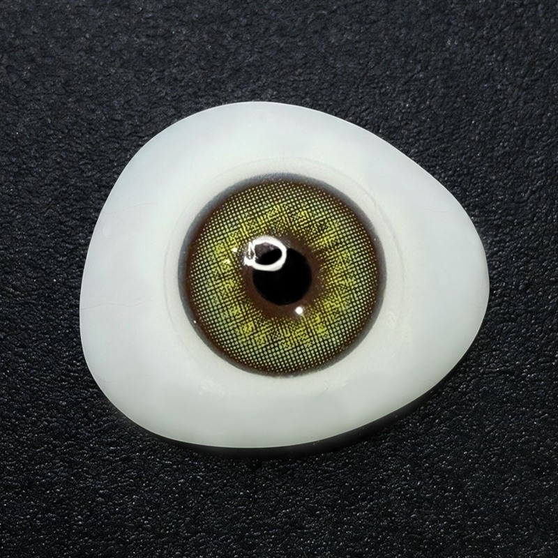 Catrii Olive 6 Months Contact Lenses | 2 Pcs