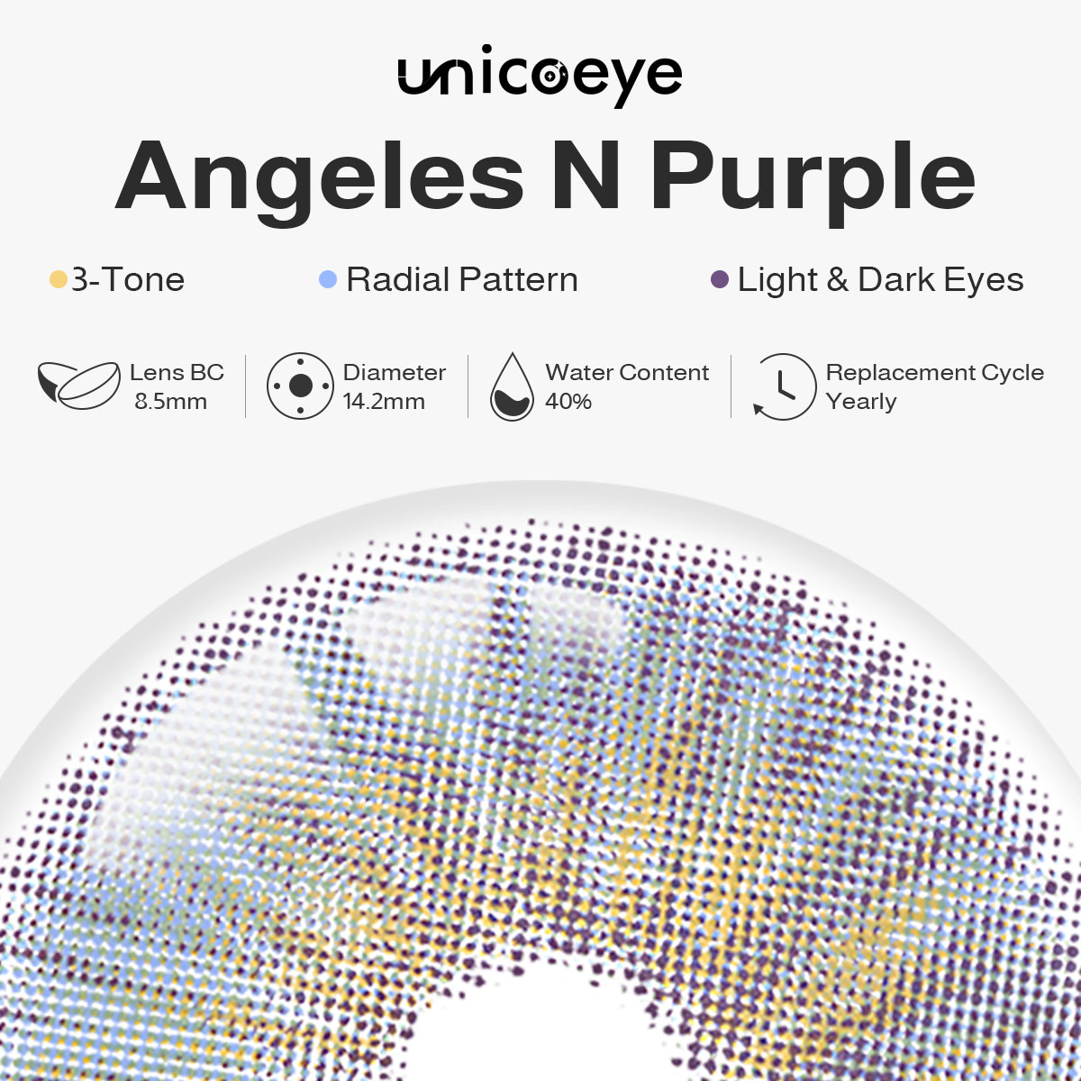 Angeles N Purple Yearly Contact Lenses | 2 Pcs
