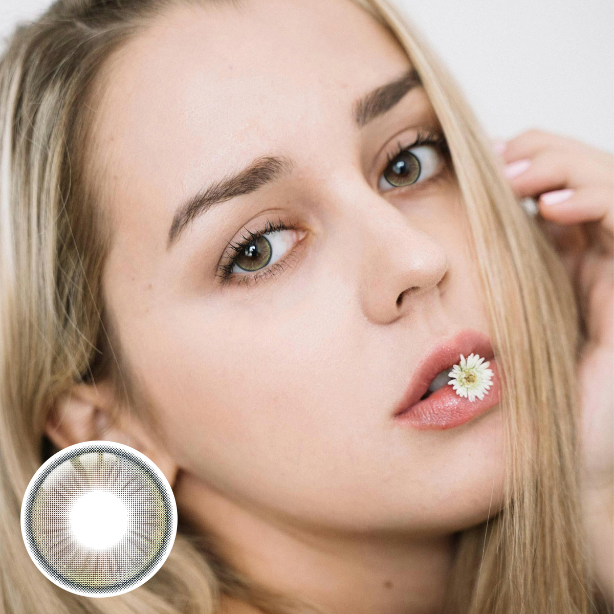 Accelerado Brown 6 Months Contact Lenses