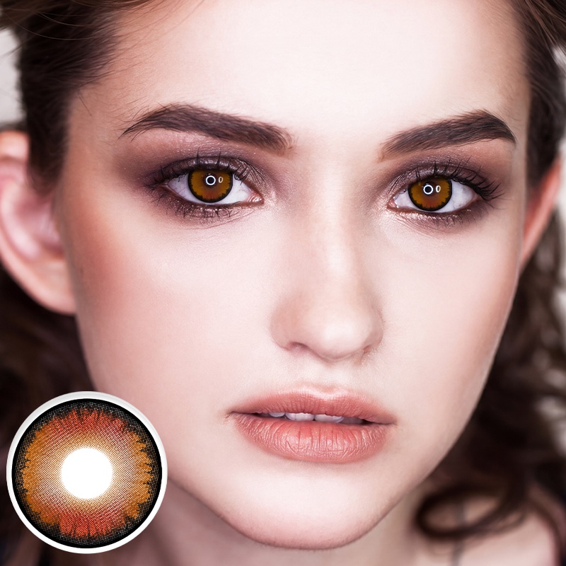 Honey Maple Brown 6 Month Contact Lenses | 2 Pcs