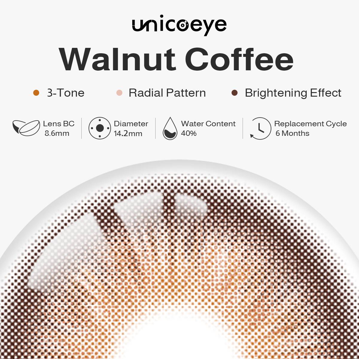 Walnut Coffee 6 Months Contact Lenses | 2 Pcs