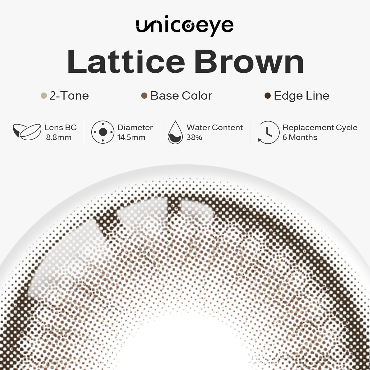 Lattice Brown 6 Months Contact Lenses | 2 Pcs