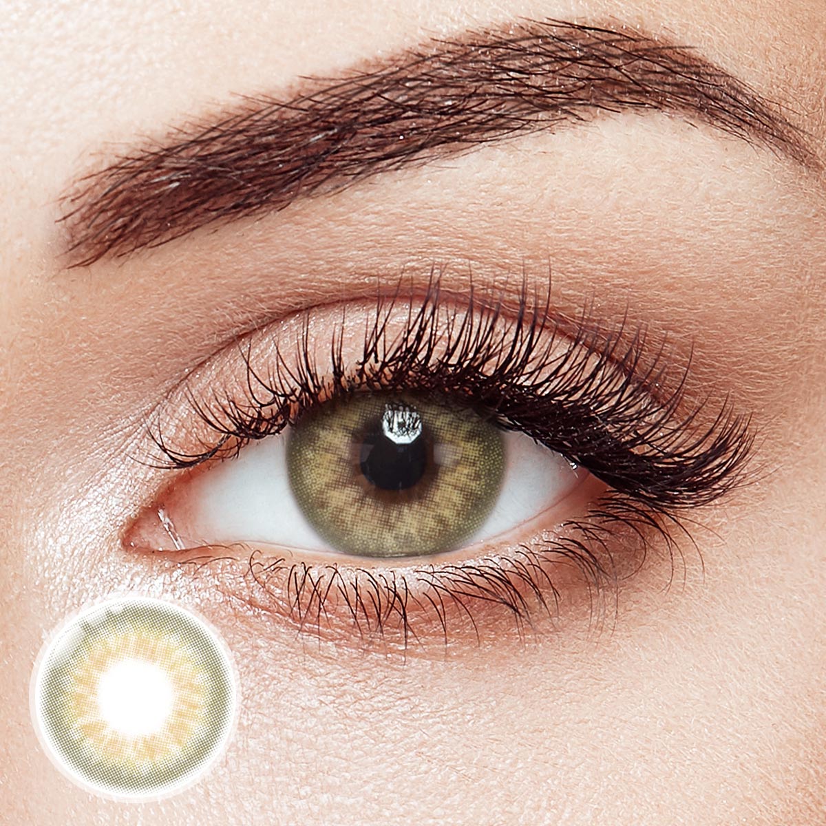 DNA Taylor Brown Daily Contact Lenses | 10 Pcs