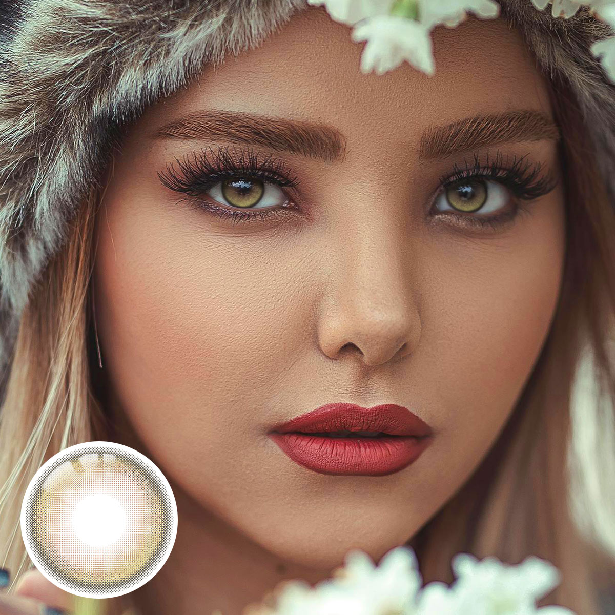 Mona Brown 6 Months Contact Lenses