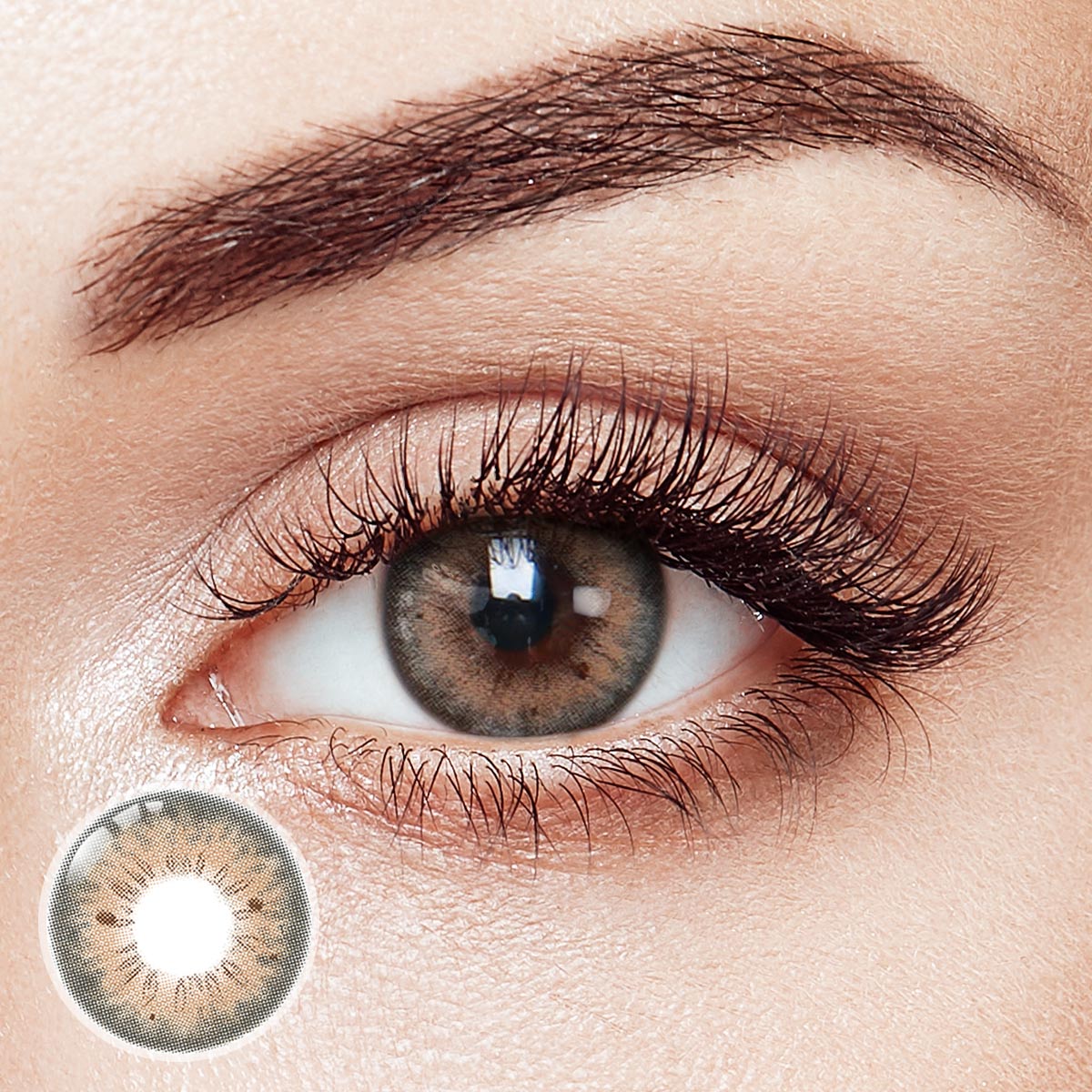 Nadine Brown Daily Contact Lenses | 10 Pcs