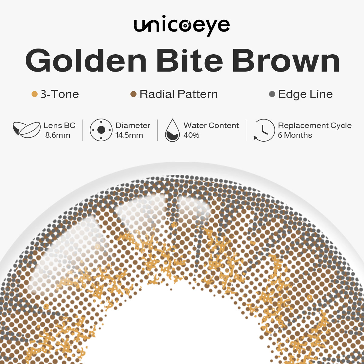 Golden Bite Brown 6 Months Contact Lenses | 2 Pcs