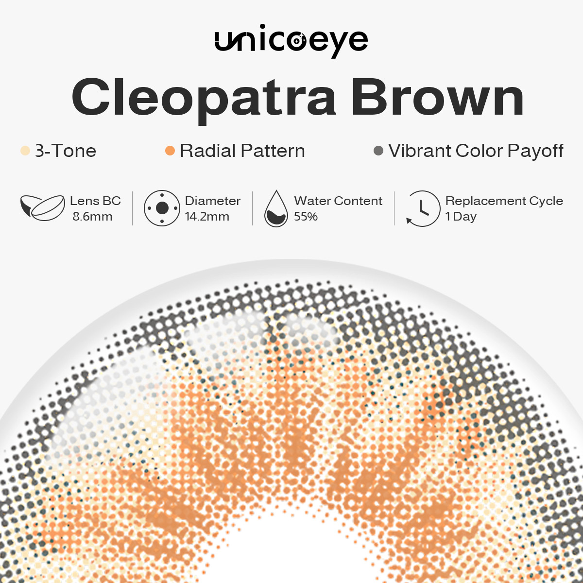 Cleopatra Brown Daily Contact Lenses | 10 Pcs