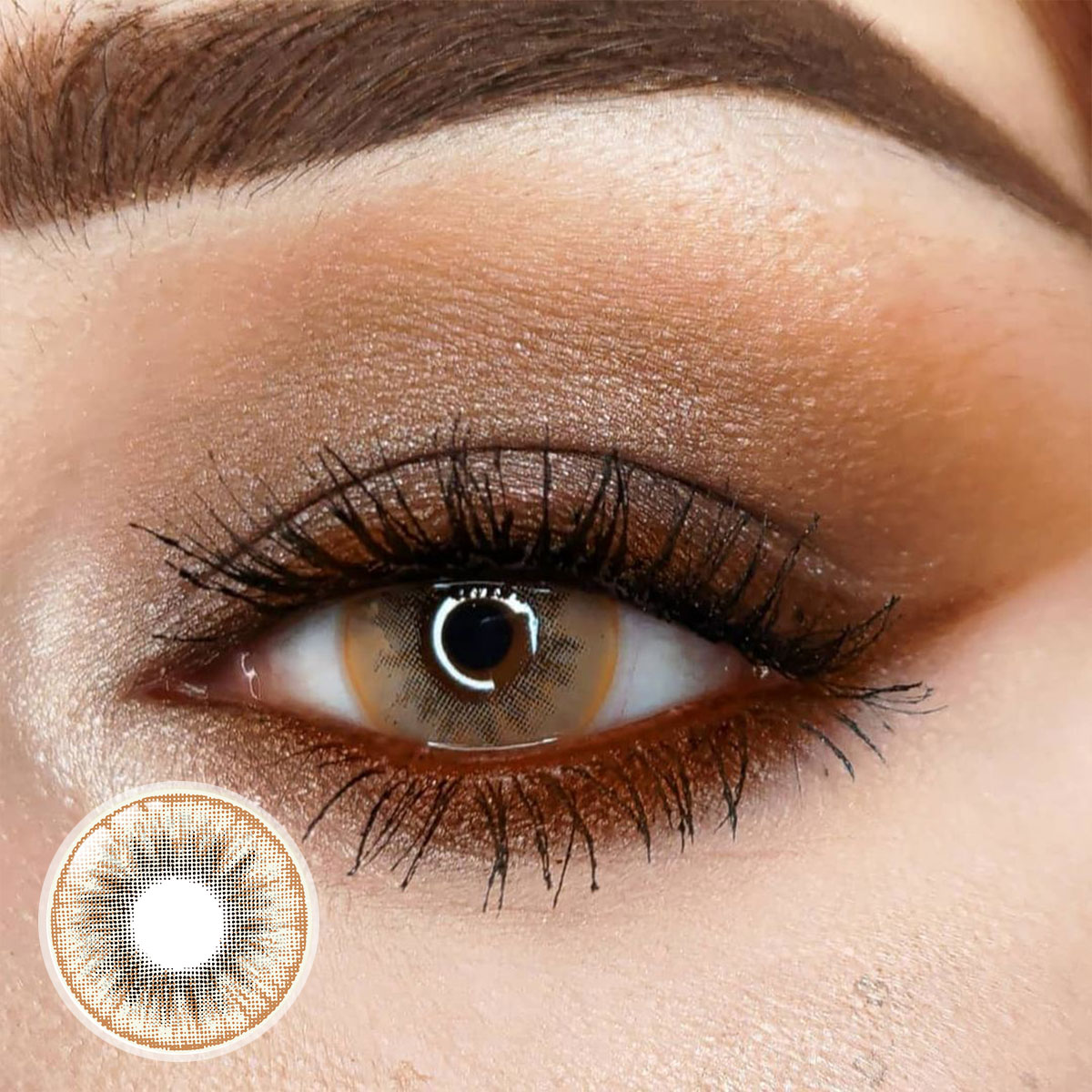 Sunburst Brown Yearly Contact Lenses