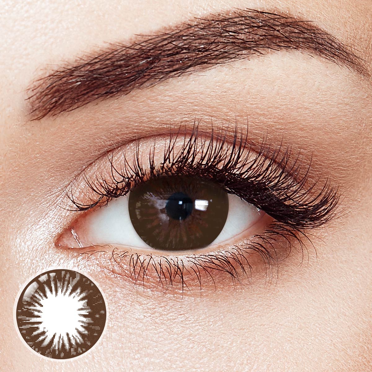Rays Brown Prescription 6 Months Contact Lenses | 2 Pcs