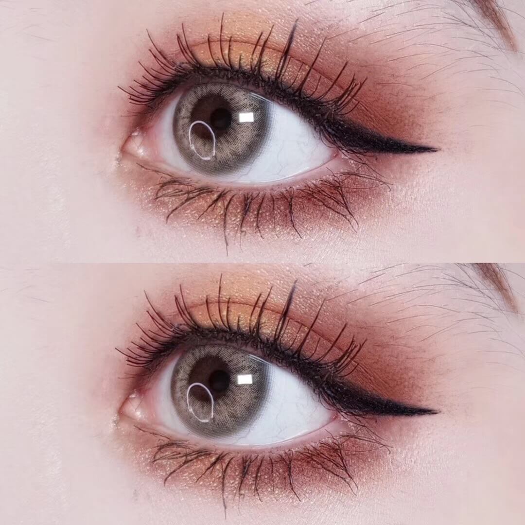 DNA Taylor Brown Daily Contact Lenses | 10 Pcs