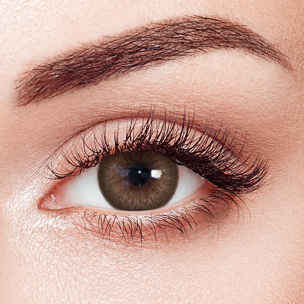 Kilig Brown Prescription 6 Months Contact Lenses