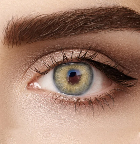 Himalayan Gray Prescription 6 Months Contact Lenses