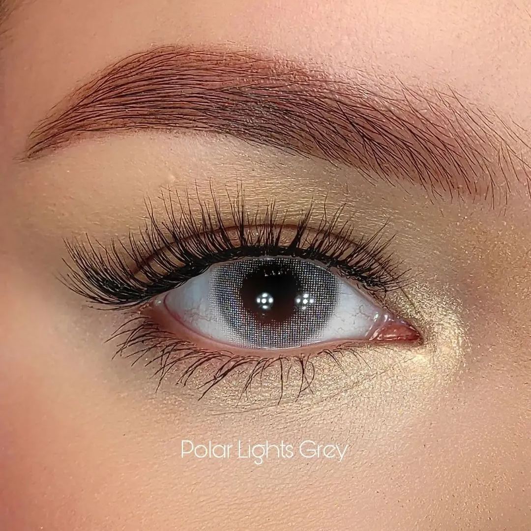 [Pre-Sale] Polar Lights Grey 6 Months Contact Lenses