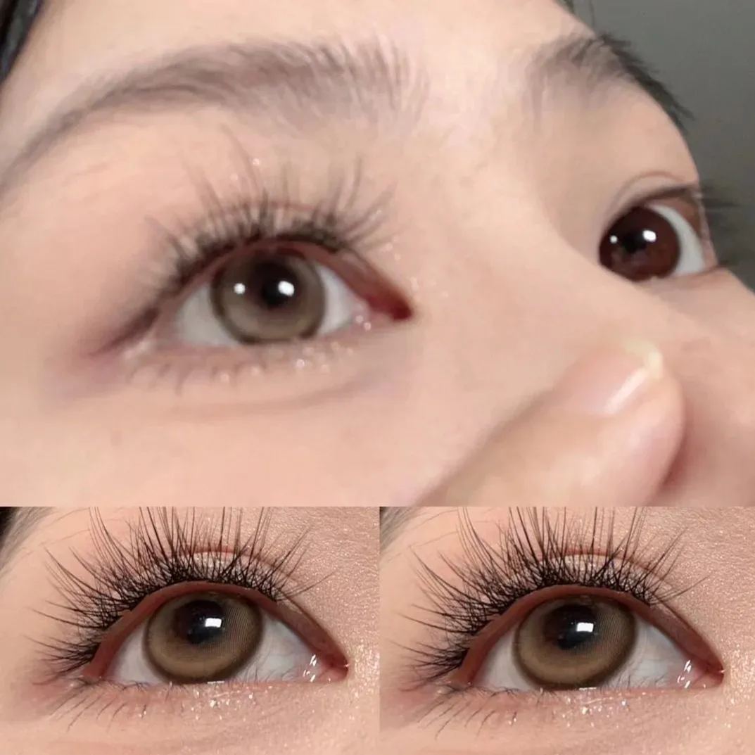 Cheese Tart Brown Yearly Contact Lenses