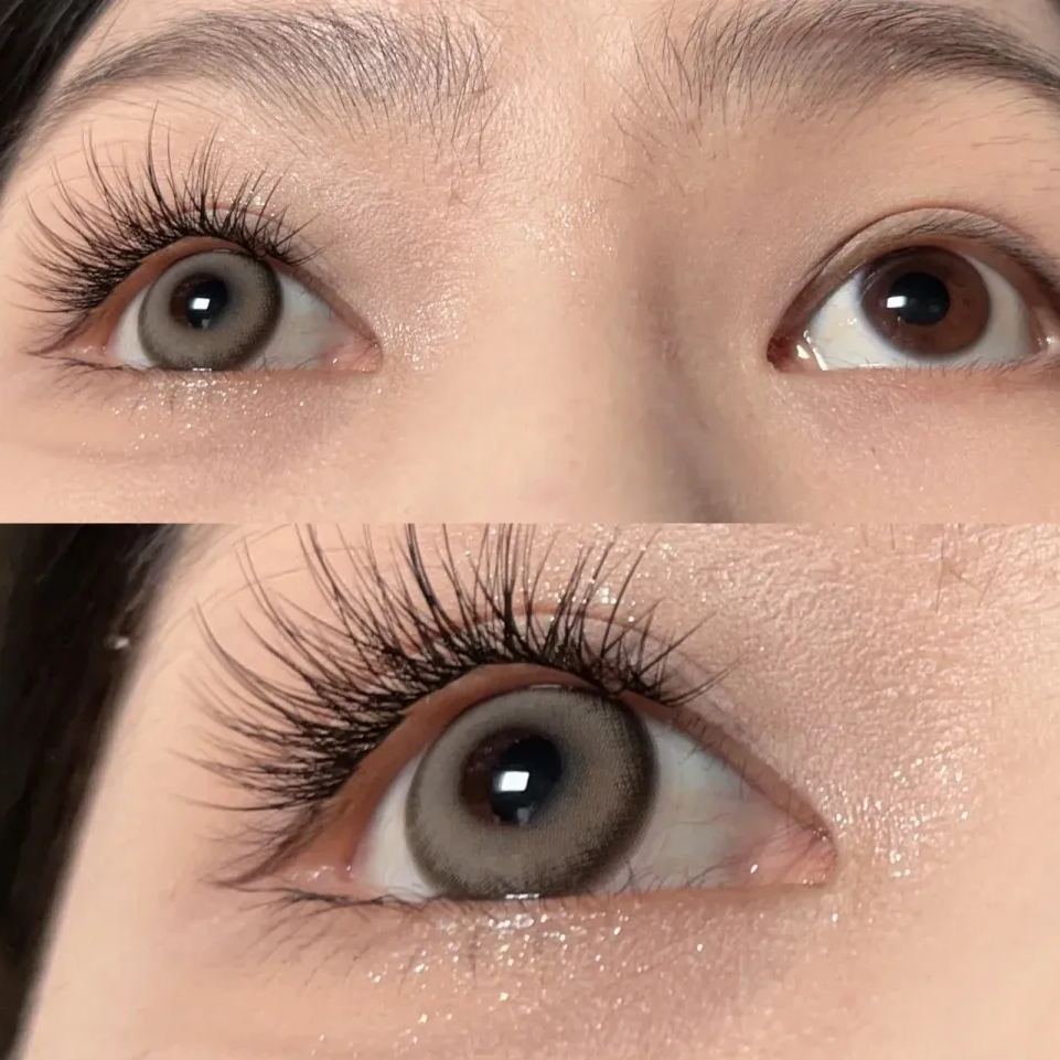 Cambridge Brown Yearly Contact Lenses