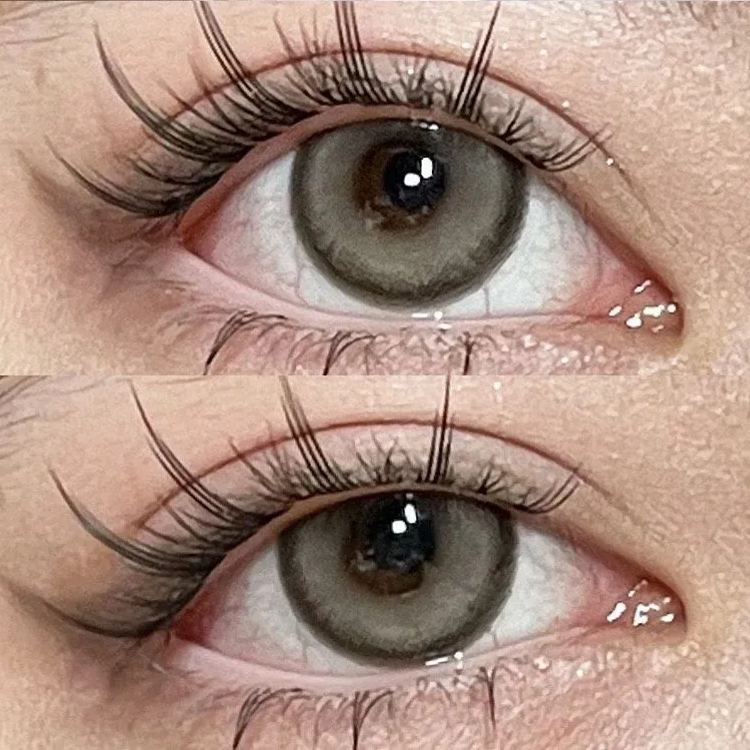 Cambridge Brown Yearly Contact Lenses