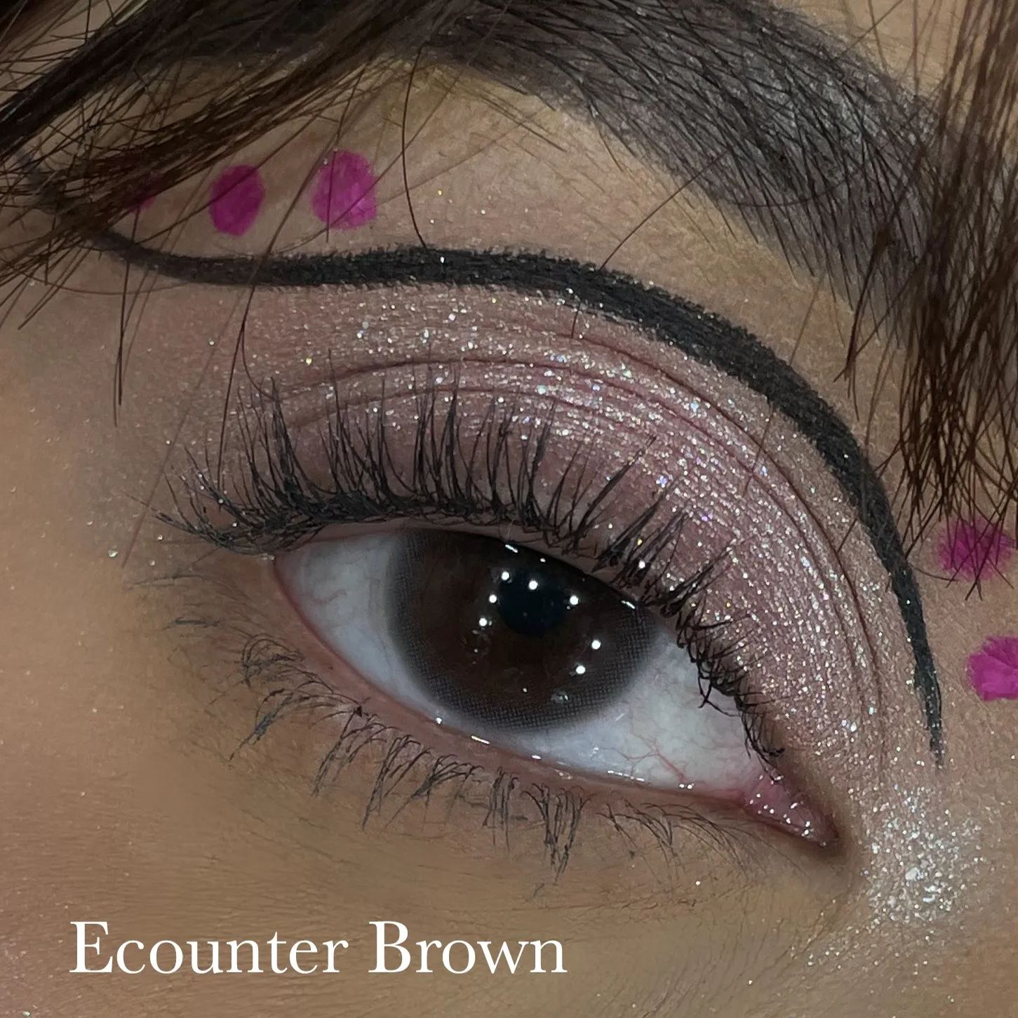 Encounter Brown 6 Months Contact Lenses