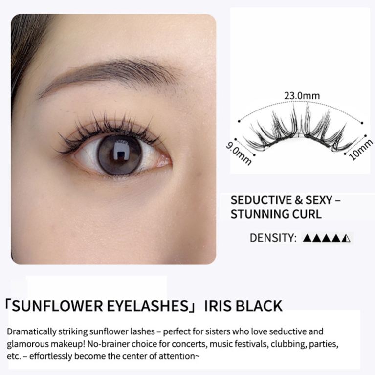 Ice Black 1 Pair Magnetic Lashes