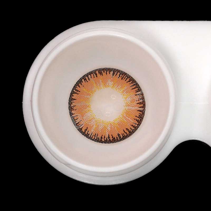 Vika Brown Yearly Contact Lenses
