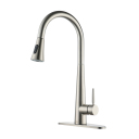 Brushed Nickel