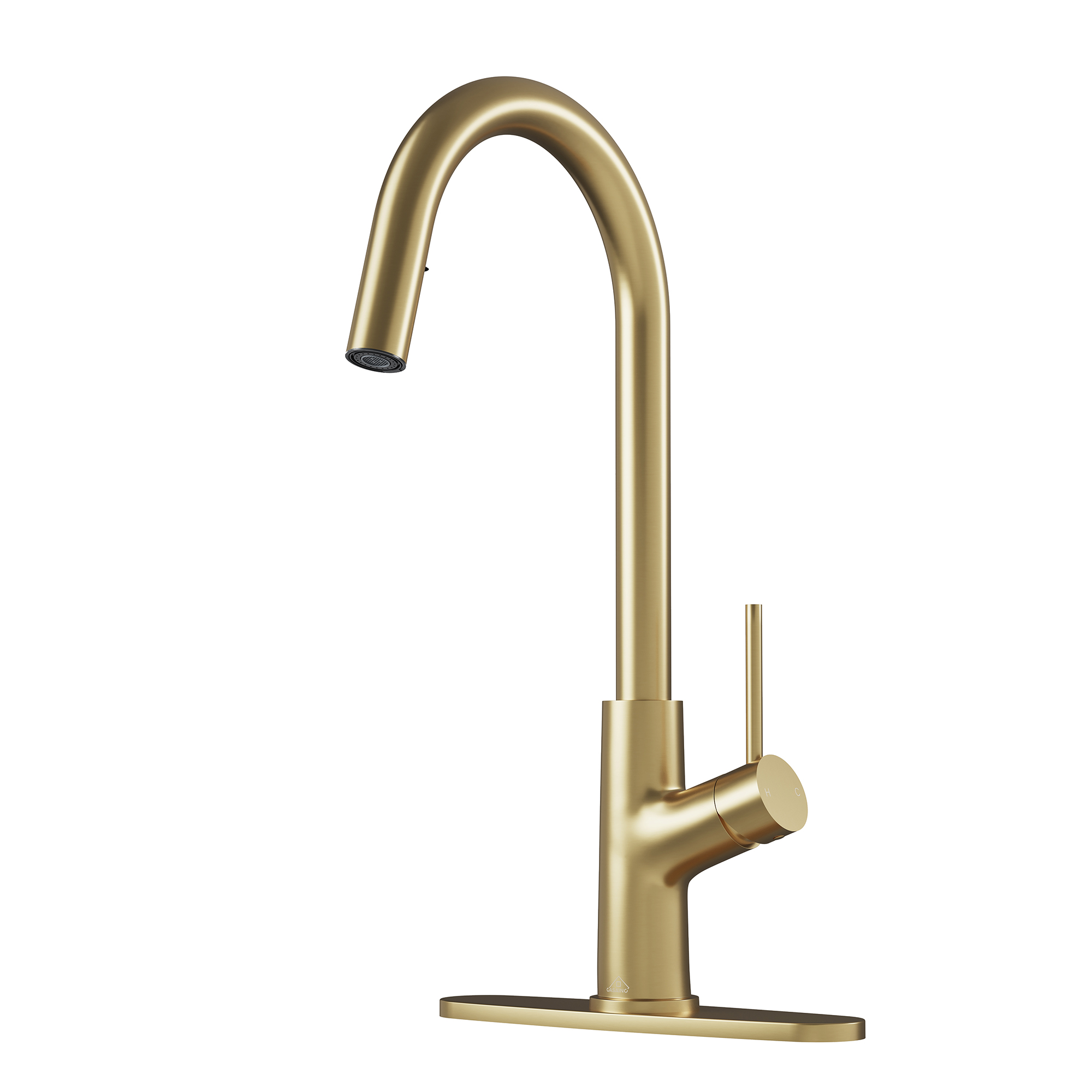 2-Spray Patterns Single Handle Pull Down Sprayer Kitchen Faucet with Deckplate and Water Supply Hoses in Brushed Gold