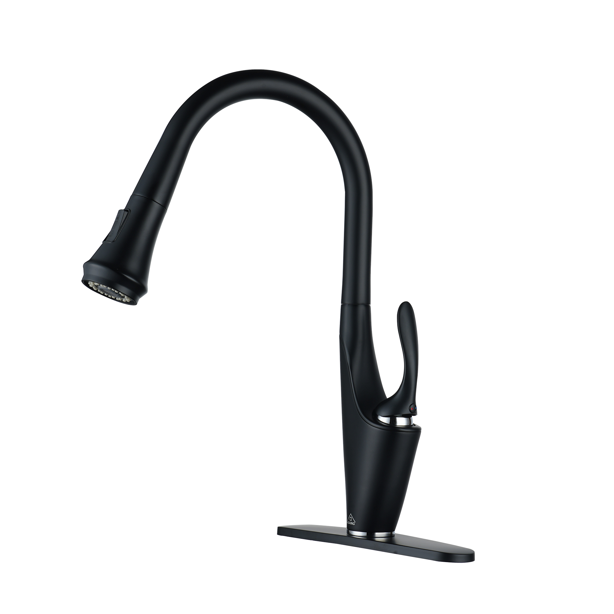 Single-Handle Kitchen Faucet with Pull-Out Sprayer