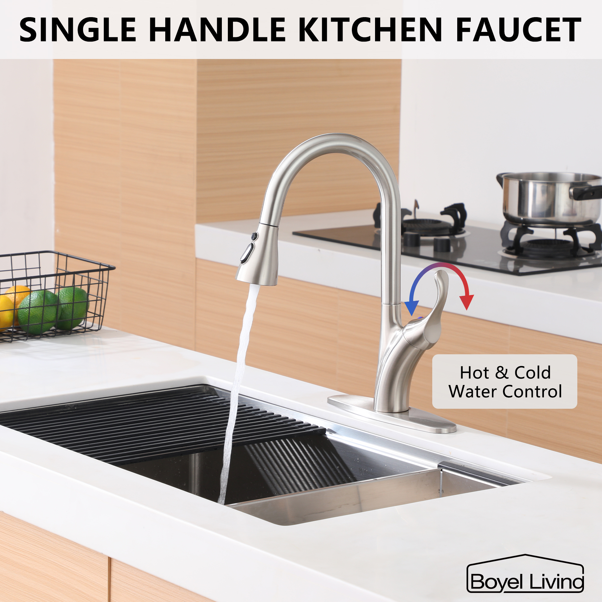 Kitchen Faucet with Pull Down Sprayer