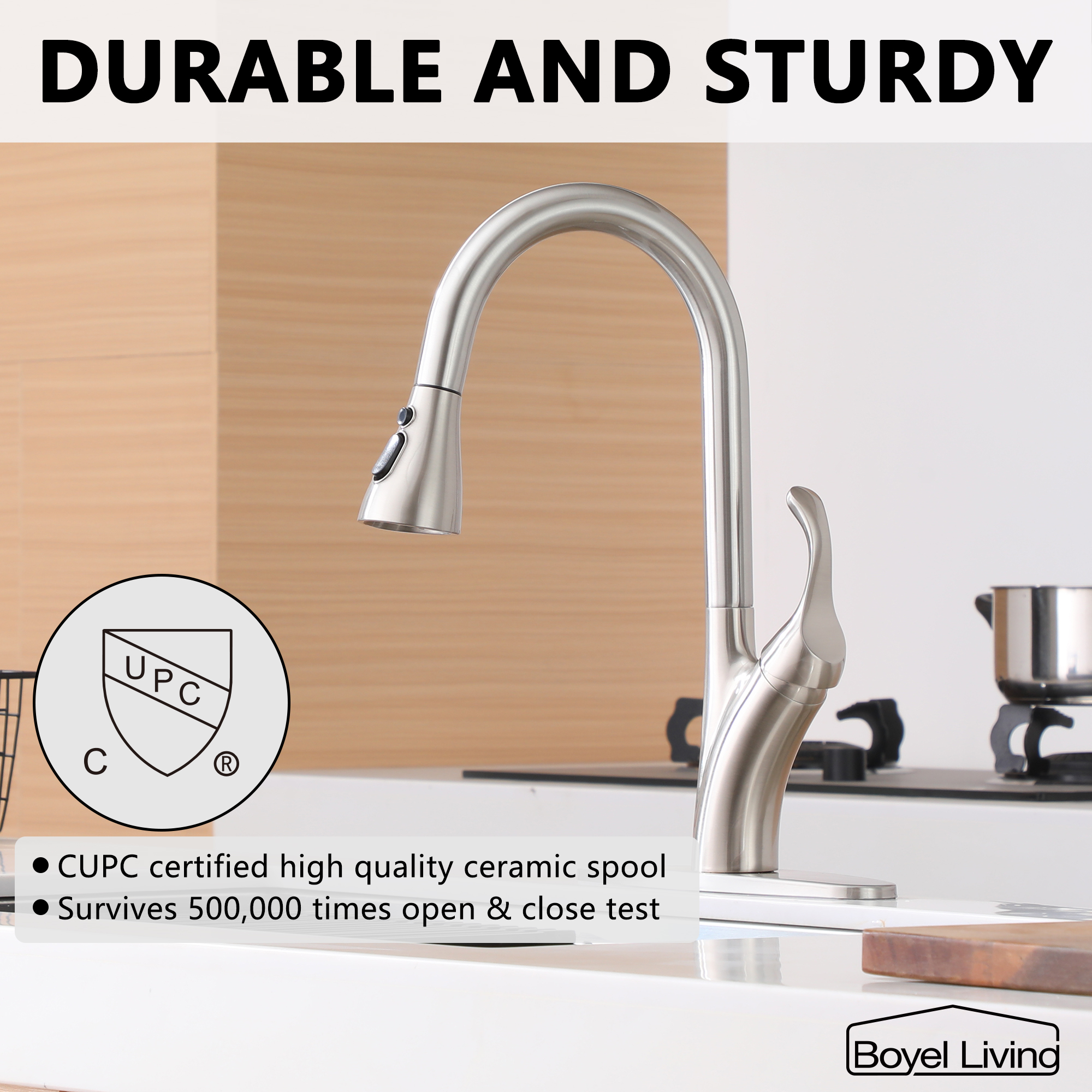 Kitchen Faucet with Pull Down Sprayer