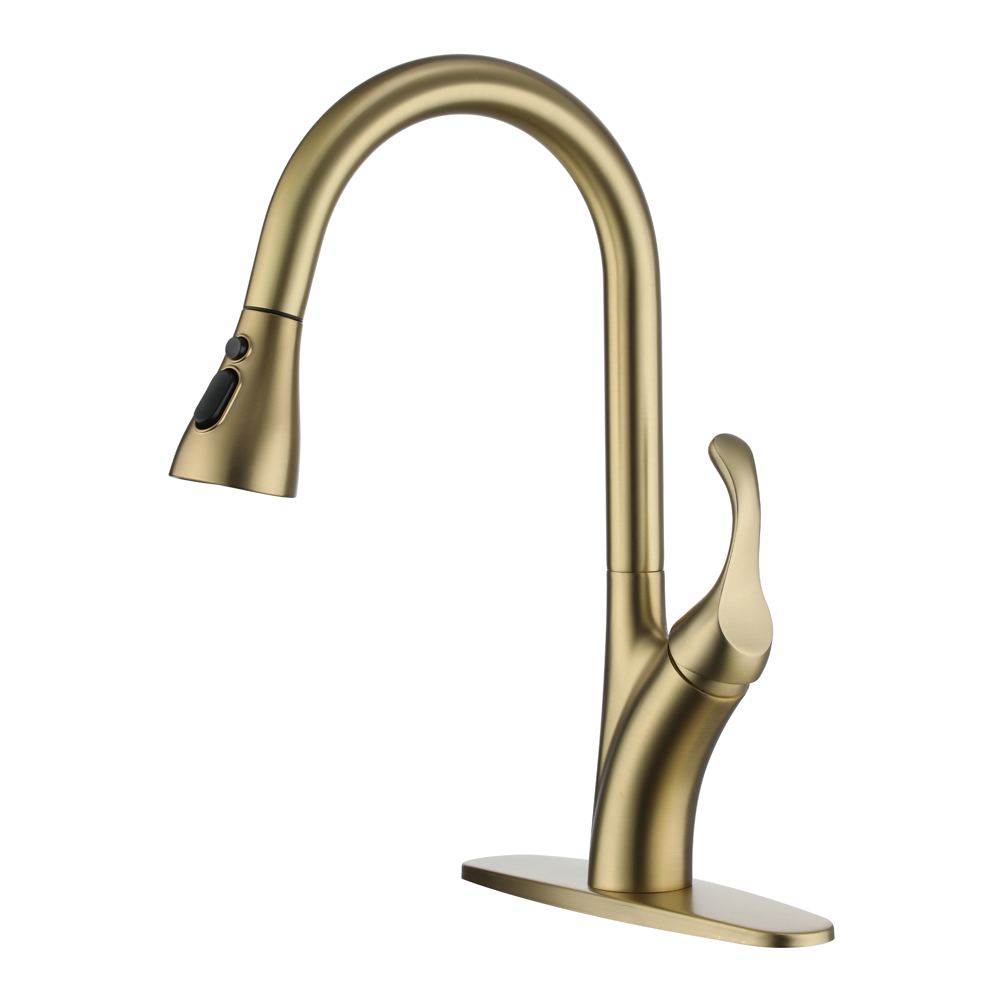 Kitchen Faucet with Pull Down Sprayer