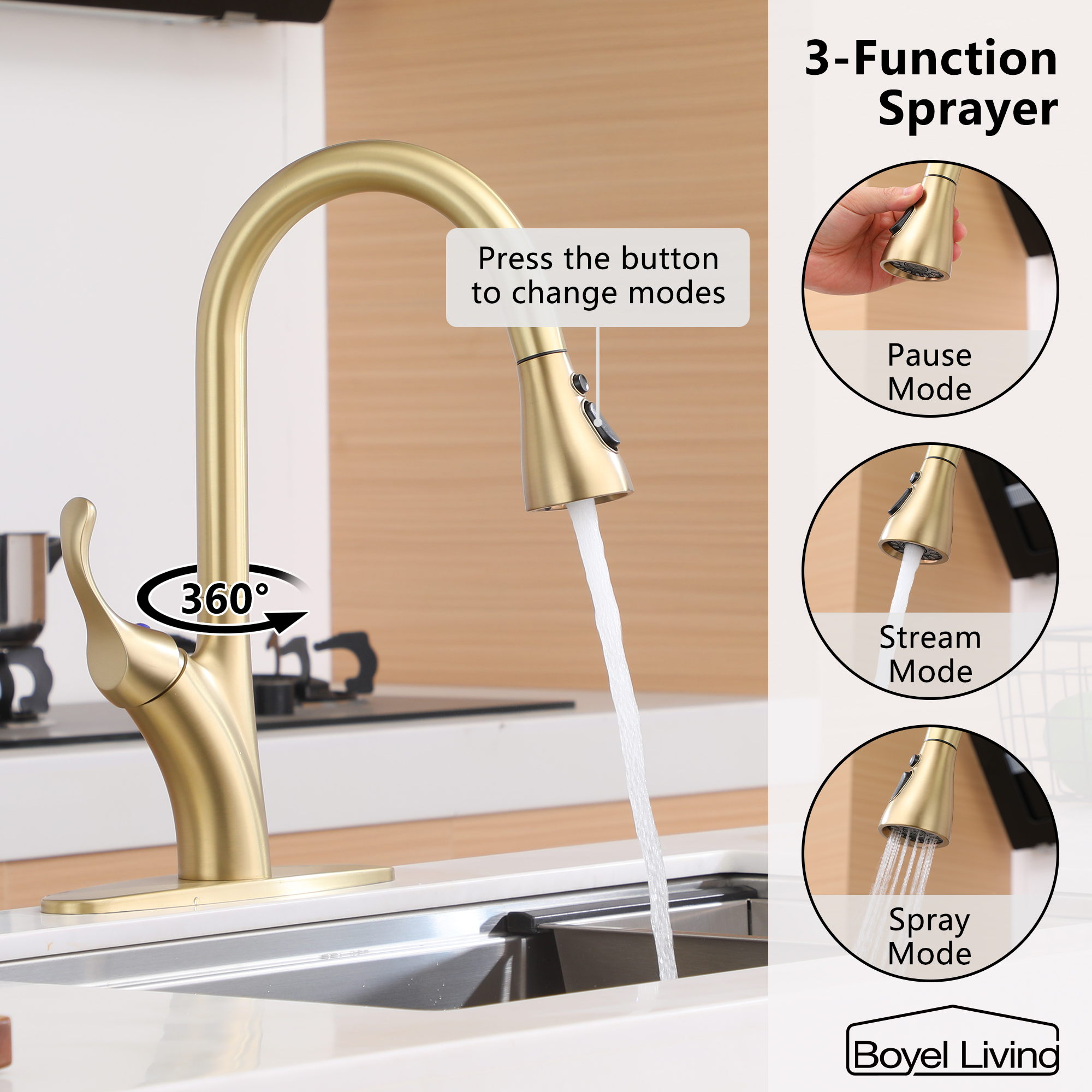 Kitchen Faucet with Pull Down Sprayer