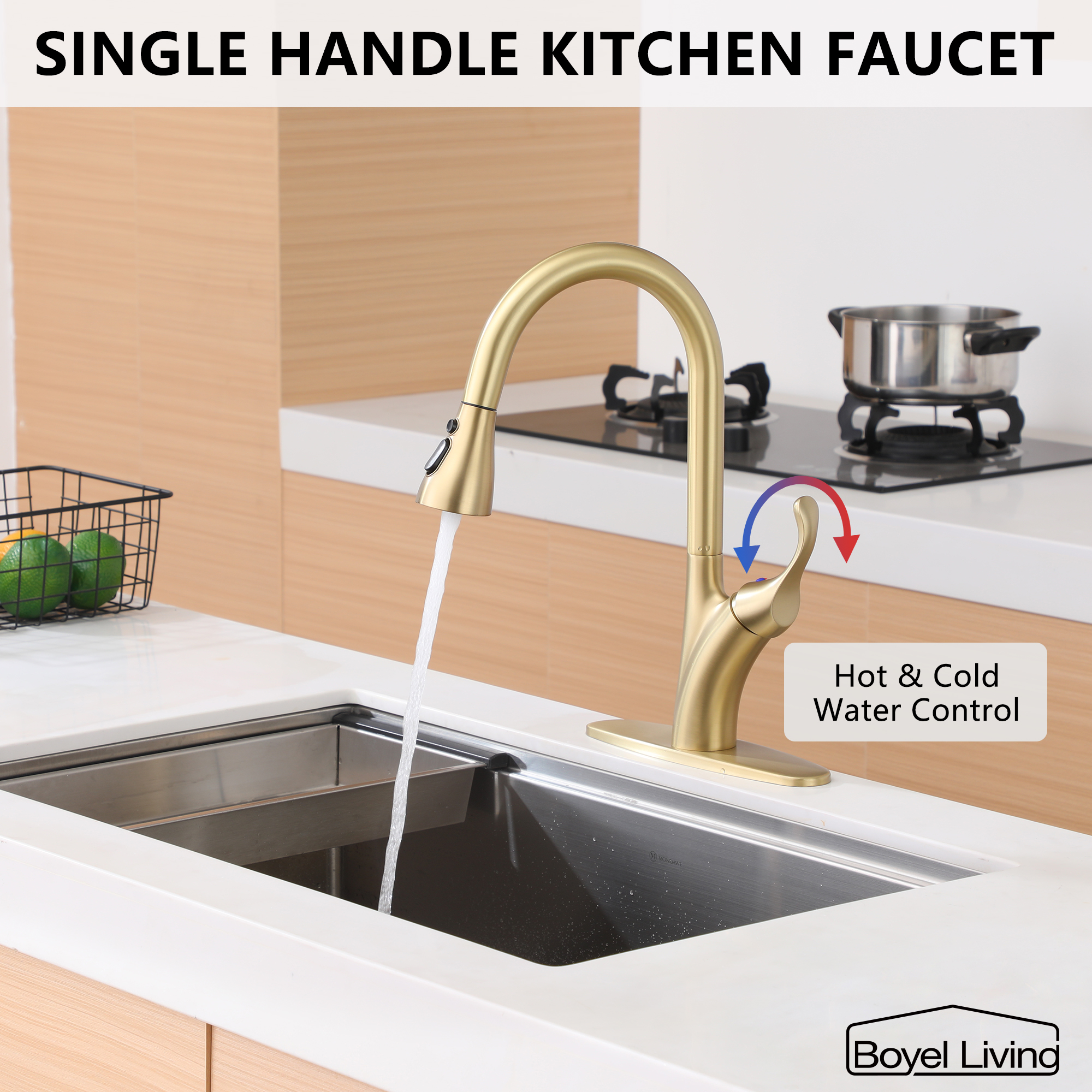 Kitchen Faucet with Pull Down Sprayer