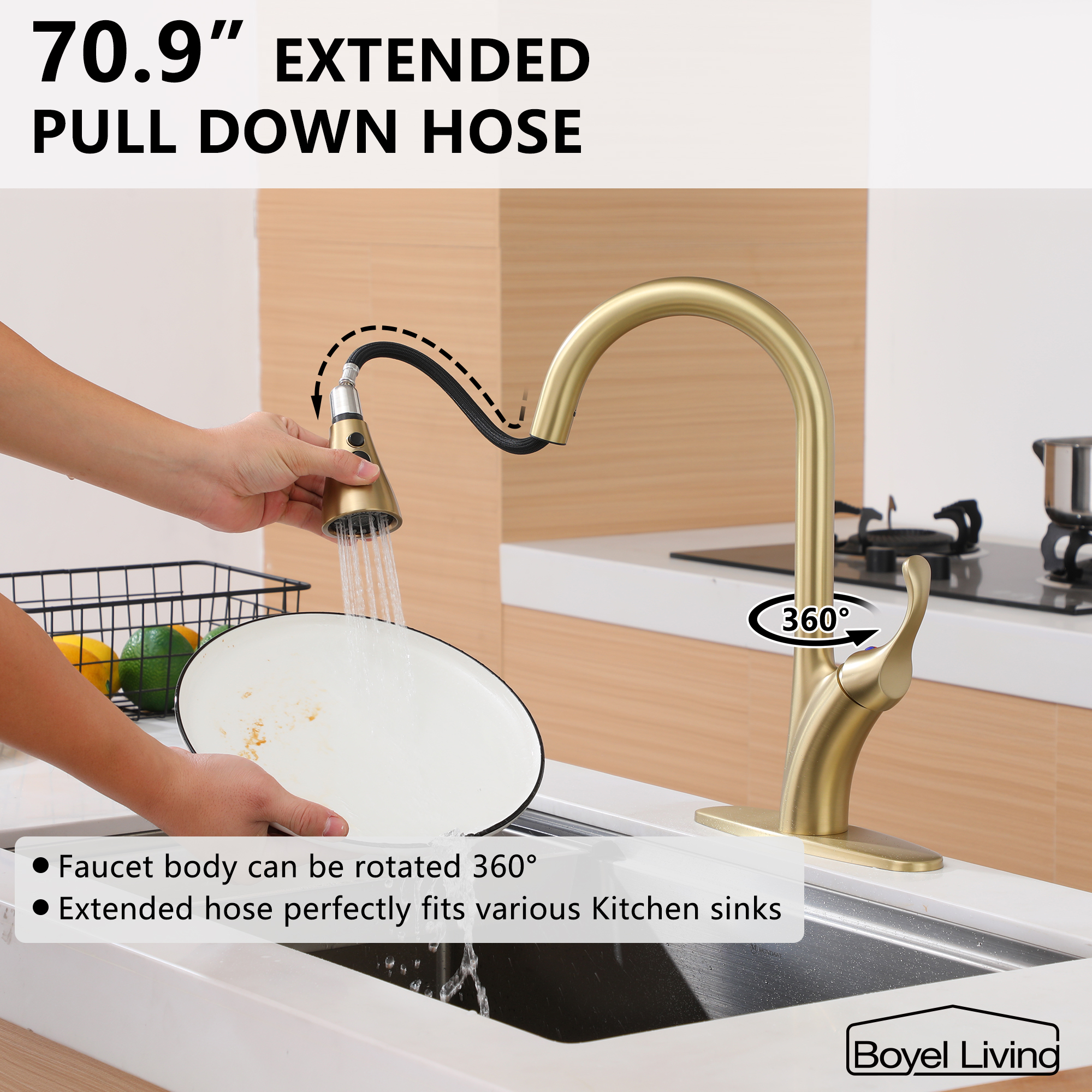 Kitchen Faucet with Pull Down Sprayer