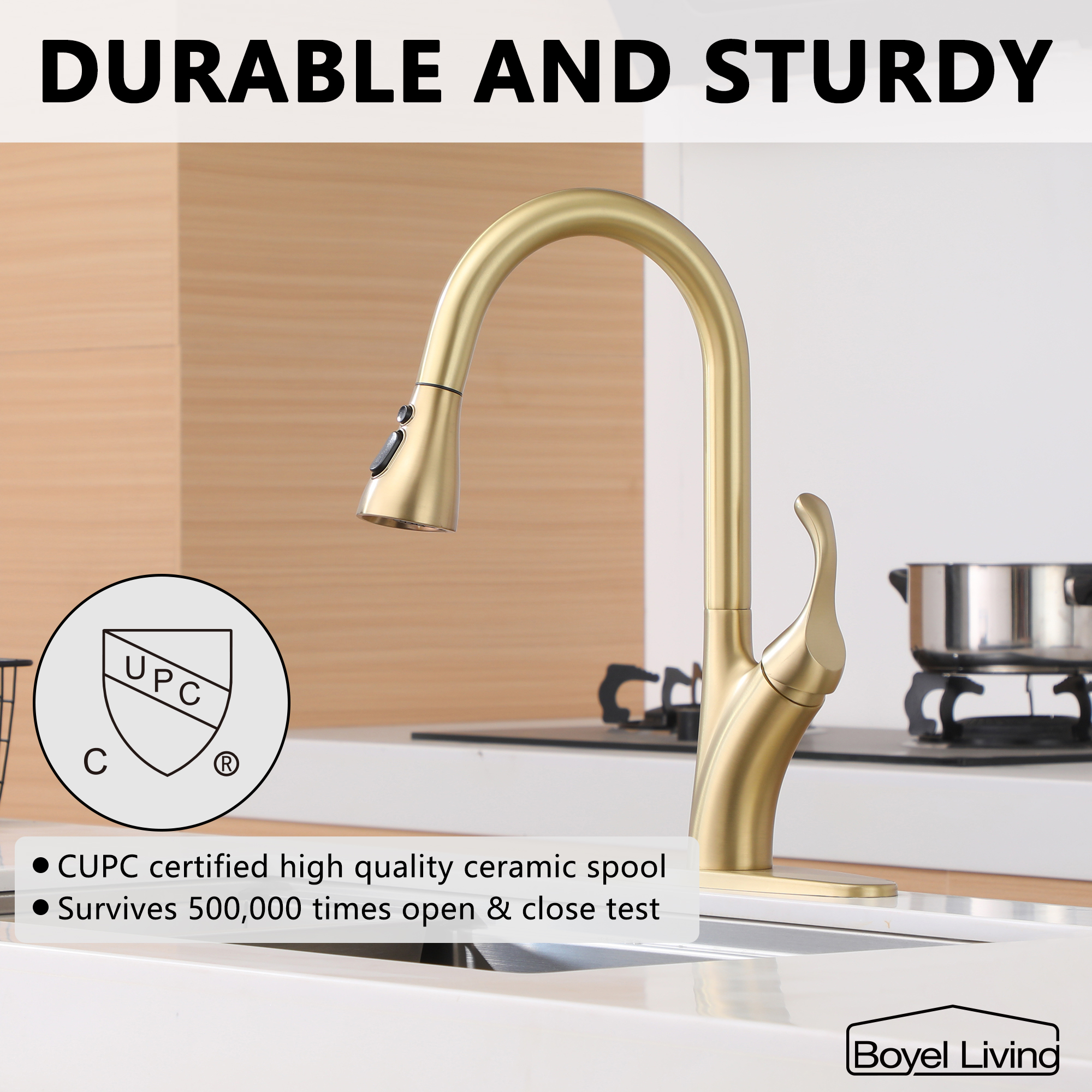 Kitchen Faucet with Pull Down Sprayer