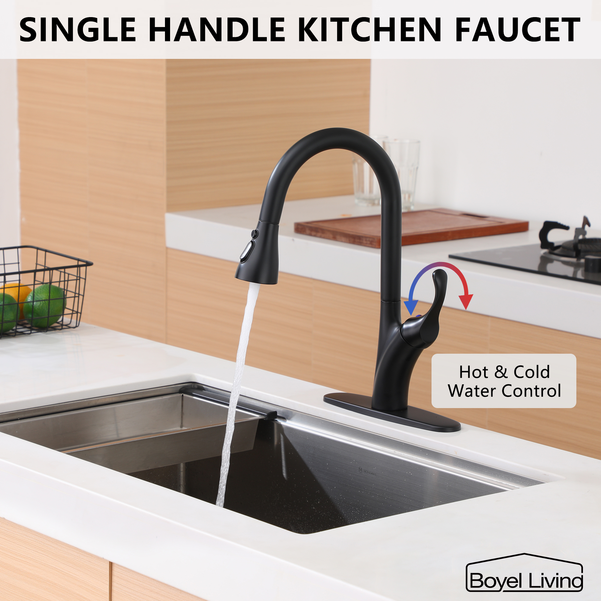 Kitchen Faucet with Pull Down Sprayer