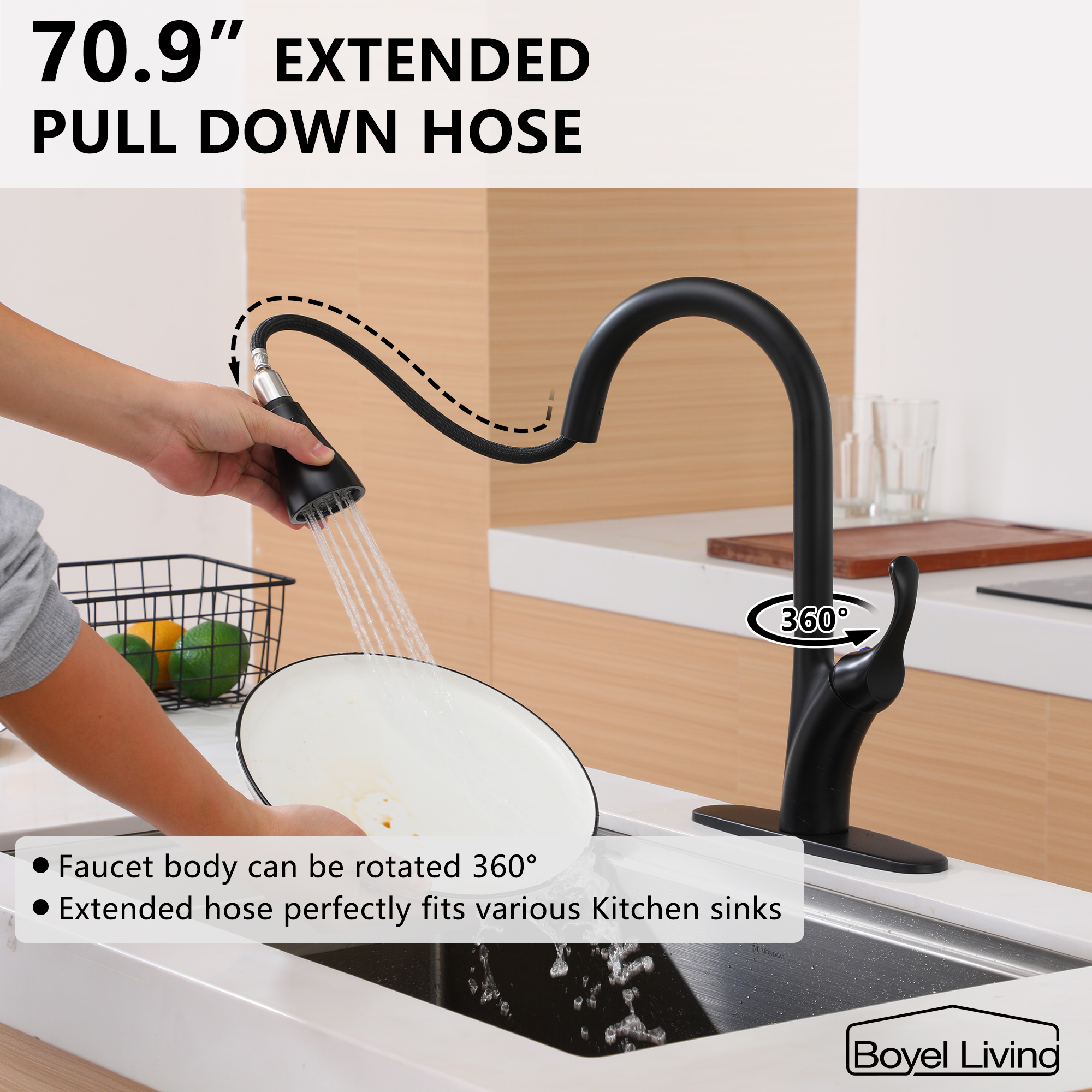Kitchen Faucet with Pull Down Sprayer