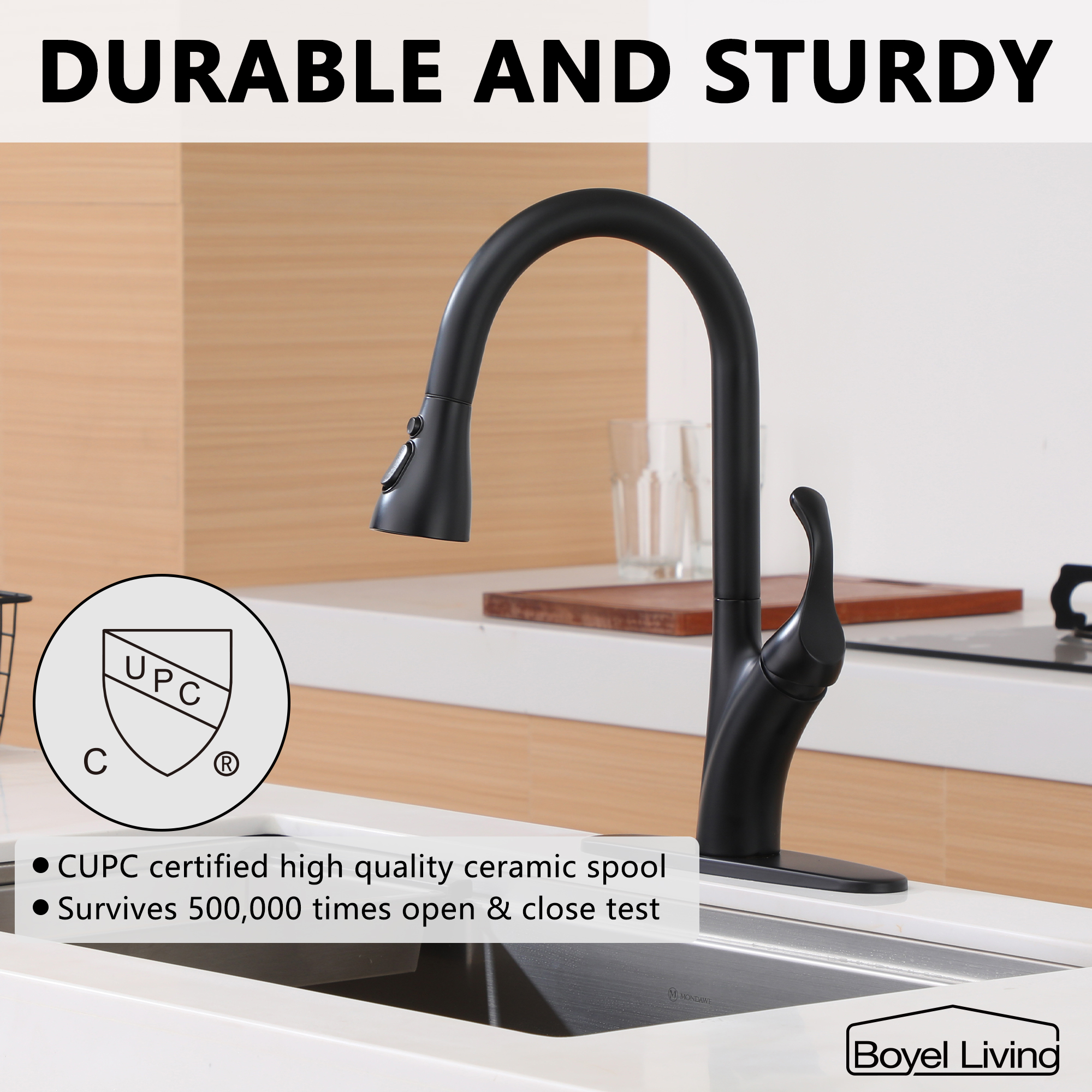 Kitchen Faucet with Pull Down Sprayer