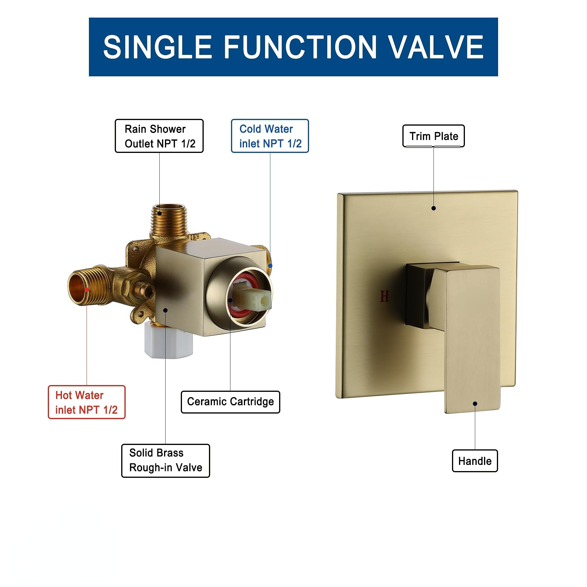 10 Inch Square Shower Head - Wall Mount 1-Spray Pattern Faucet with 2.5 GPM Flow Rate Brushed Gold (Valve Included)